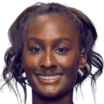 迪南德类似 迪南德类似