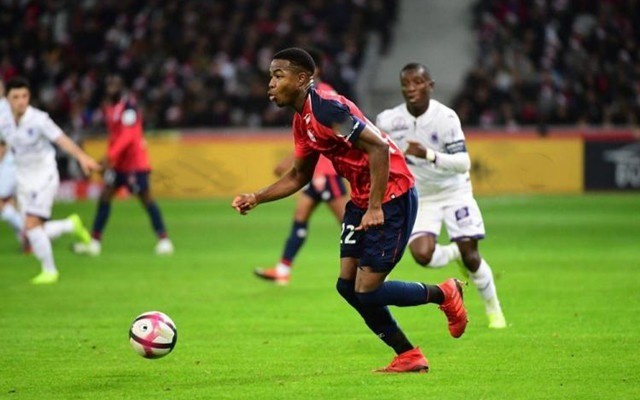 可以发现其 可以发现其